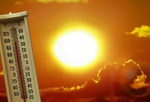 Northeastern States Witnessing Unusual Rise in Temperatures
