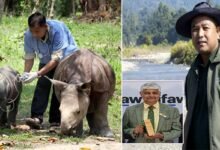 Assam: Vet, Dr. Panjit Basumatary Honoured at the 24th annual IFAW Animal Action Awards, UK