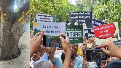 Assam: citizens protest govt’s plan to chop century-old trees in Ghy for flyover