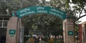 NGT imposes Rs 50,000 fine on Mizoram for not filing compliance report