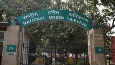 NGT imposes Rs 50,000 fine on Mizoram for not filing compliance report