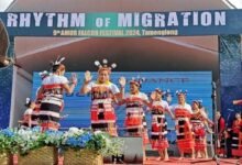 Manipur: 9th Edition of The Amur Falcon Festival Celebrated in Tamenglong