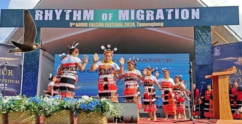 Manipur: 9th Edition of The Amur Falcon Festival Celebrated in Tamenglong