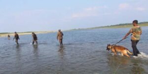 Assam: K9 dog squad offering invaluable support to Forest dept in tracking suspects involved in wildlife crime in rhino bearing areas
