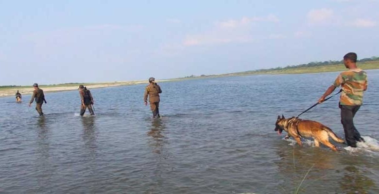 Assam: K9 dog squad offering invaluable support to Forest dept in tracking suspects involved in wildlife crime in rhino bearing areas