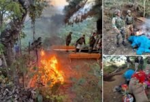 Manipur: Assam Rifles protects farmers from armed miscreants attack