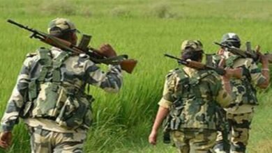 Manipur: Militant killed A Woman Farmer in Saiton village