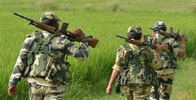 Manipur: Militant killed A Woman Farmer in Saiton village