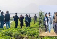 Assam: Birdwatchers greet feathered visitors at Deepor Beel