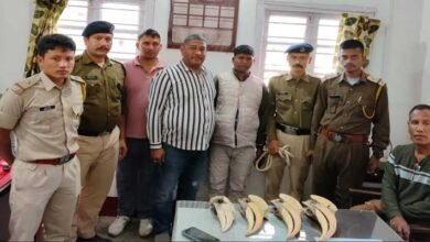Assam: RPF Seized Smuggled hornbill beaks from Lachit Express