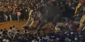 Kerala- 17 injured after Elephant turns violent during temple event in Malappuram
