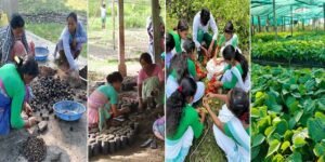 Assam: Community-driven nursery aids habitat restoration for elephants