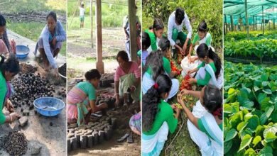 Assam: Community-driven nursery aids habitat restoration for elephants