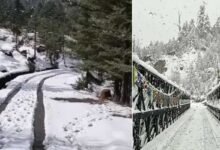 Sikkim: Heavy Snowfall Disrupts Tourism, Nathu La Access Blocked