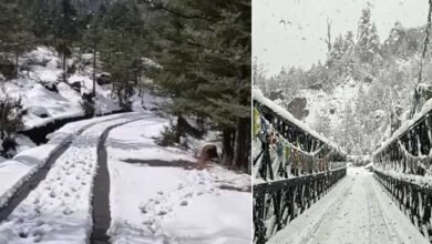 Sikkim: Heavy Snowfall Disrupts Tourism, Nathu La Access Blocked