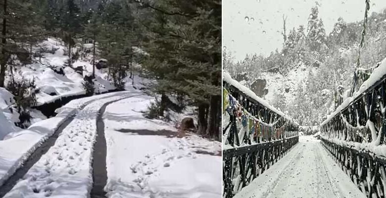 Sikkim: Heavy Snowfall Disrupts Tourism, Nathu La Access Blocked