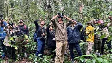 Assam: Primate Watch at Hoollongapar Gibbon Sanctuary raises awareness about primates