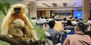 Assam: Experts collaborate to devise strategies for the conservation of the Golden Langur in Bongaigaon
