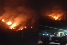 Nagaland: Massive Jungle Fire Breaks Out Near Naga Heritage Village, Kisama