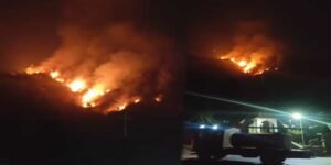 Nagaland: Massive Jungle Fire Breaks Out Near Naga Heritage Village, Kisama
