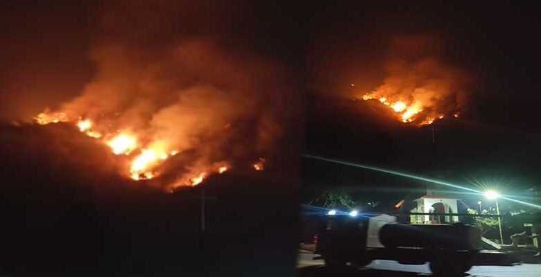 Nagaland: Massive Jungle Fire Breaks Out Near Naga Heritage Village, Kisama