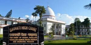Gauhati High Court Slams Assam Government Over Allotment of 3,000 Bighas of Tribal Land to Cement Company