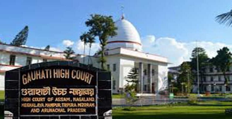 Gauhati High Court Slams Assam Government Over Allotment of 3,000 Bighas of Tribal Land to Cement Company