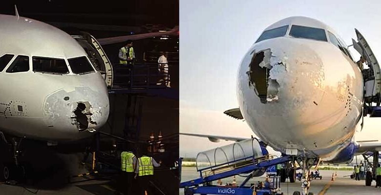 IndiGo Flight 6E2142 from Delhi to Srinagar Hit by Severe Hailstorm