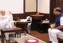 Assam CM briefs Union Home Minister on a gamut of issues; compliments Shah for eliminating Red Terror