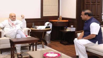 Assam CM briefs Union Home Minister on a gamut of issues; compliments Shah for eliminating Red Terror