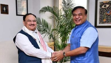 Assam CM meets Union Minister JP Nadda; seeks assistance in expediting groundwork for Brownfield Ammonia Urea Complex