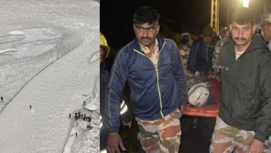 Sikkim: Tourist Vehicle Plunges into Teesta River, One Dead, Eight Missing