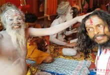 Ambubachi Mela 2025: A Sacred Celebration of Divine Femininity at Kamakhya Temple