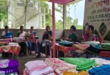 Assam: ‘Xupan’ Initiative Empowers Villagers in Eastern Assam to Rebuild Livelihoods Amid Human-Elephant Conflict