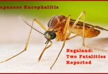 Nagaland: Two Fatalities Reported as Japanese Encephalitis Cases Rise in State
