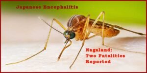 Nagaland: Two Fatalities Reported as Japanese Encephalitis Cases Rise in State