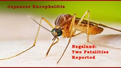 Nagaland: Two Fatalities Reported as Japanese Encephalitis Cases Rise in State