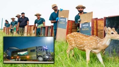 Vantara Supports Gujarat’s Vision to Restore Wildlife in Banni Grasslands with Deer Release