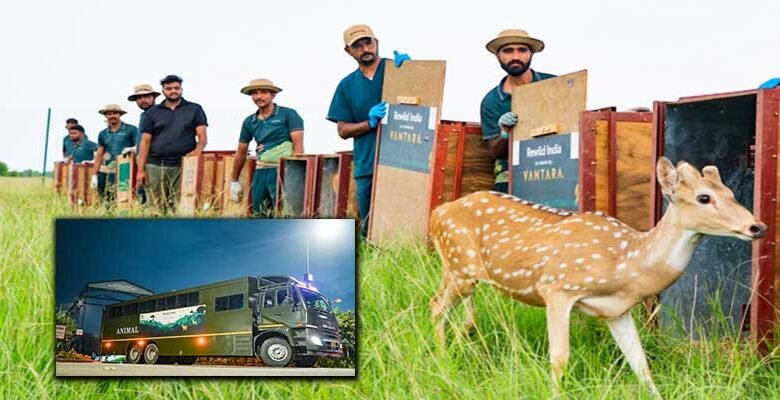 Vantara Supports Gujarat’s Vision to Restore Wildlife in Banni Grasslands with Deer Release