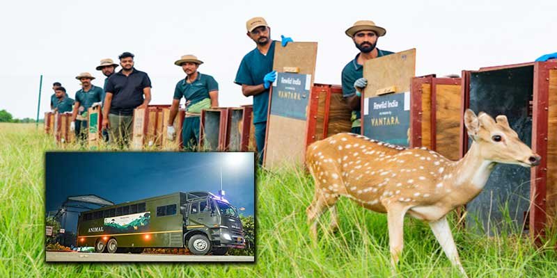 Vantara Supports Gujarat’s Vision to Restore Wildlife in Banni Grasslands with Deer Release