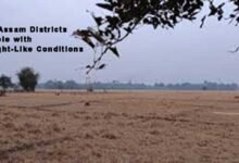 Five Assam Districts Grapple with Drought-Like Conditions, Says CM Himanta Biswa Sarma