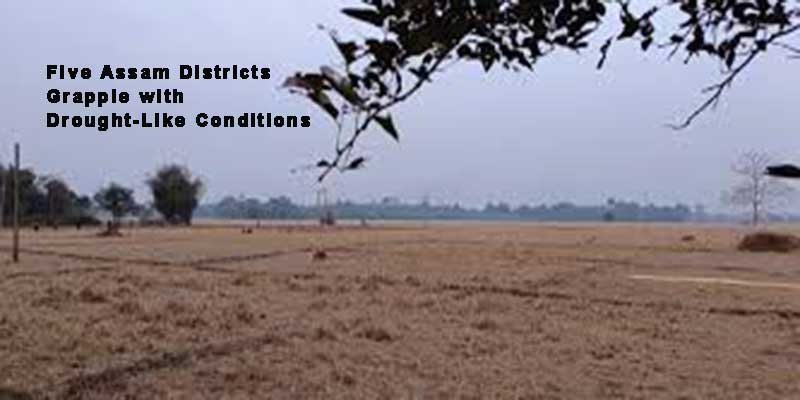 Five Assam Districts Grapple with Drought-Like Conditions, Says CM Himanta Biswa Sarma