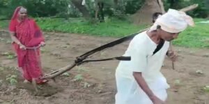 LATUR ( Maharashtra ) A deeply moving video from Hadolti village in Latur district has gone viral on social media, capturing the harsh reality faced by small-scale farmers.