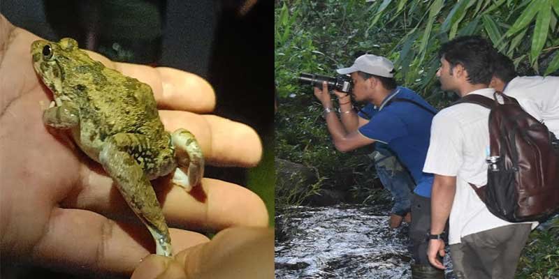 Assam: Frog Watch & Photography Event in Karbi Anglong Highlights Rich Herpetofauna and Indigenous Knowledge