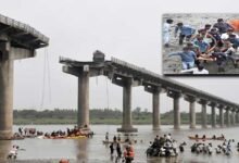 Gambhira Bridge Collapses in Gujarat, Claiming Nine Lives