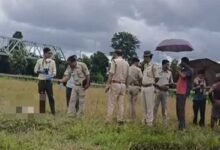 Tripura: Man Allegedly Lynched in Dhalai District Over Vegetable Theft Suspicion