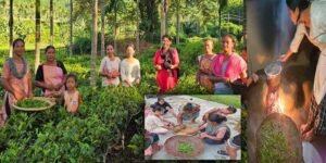 Assam: Tea Growers of Kaziranga-Karbi Anglong Trained in Handmade Tea Processing by Aaranyak