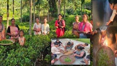 Assam: Tea Growers of Kaziranga-Karbi Anglong Trained in Handmade Tea Processing by Aaranyak