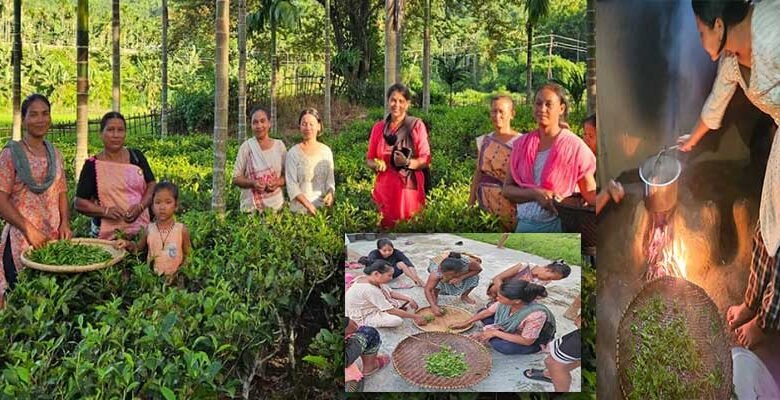 Assam: Tea Growers of Kaziranga-Karbi Anglong Trained in Handmade Tea Processing by Aaranyak