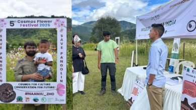 Manipur: WTI Joins Cosmos Flower Festival, Champions Pangolin Conservation